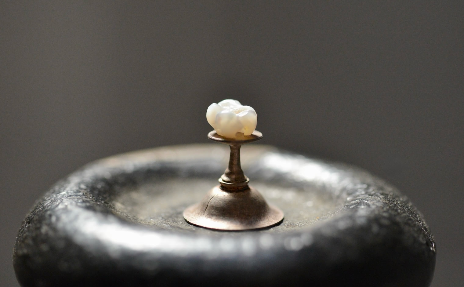 真珠の歯を輝かせる