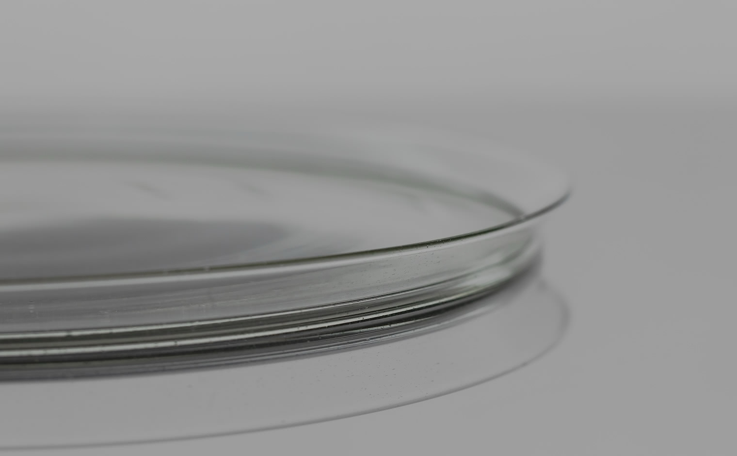 Peter Ivy Schale | Handblown Glass Plate | kataoka