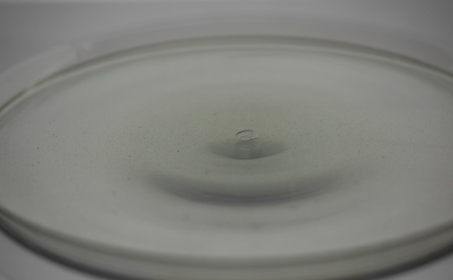 Peter Ivy Schale | Handblown Glass Plate | kataoka