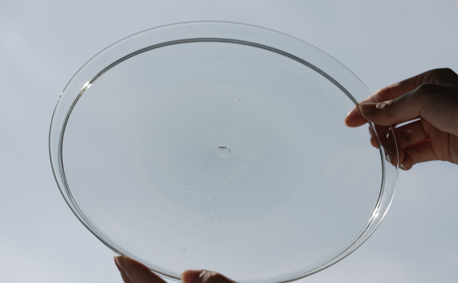 Peter Ivy Schale | Handblown Glass Plate | kataoka