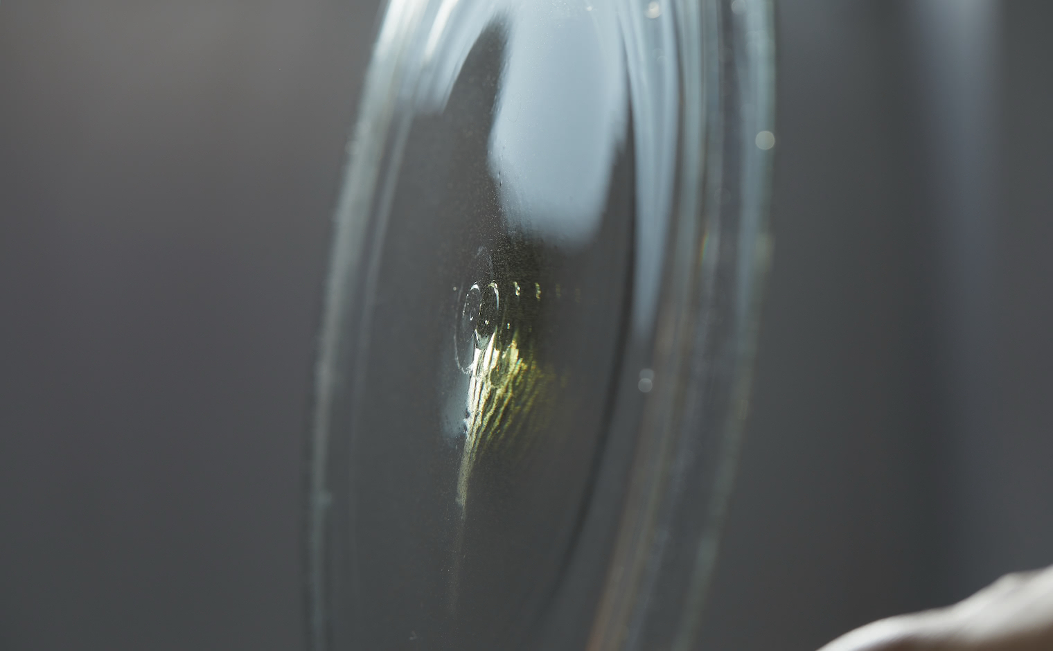 Small Rim Plate M | kataoka jewelry and objets d'art