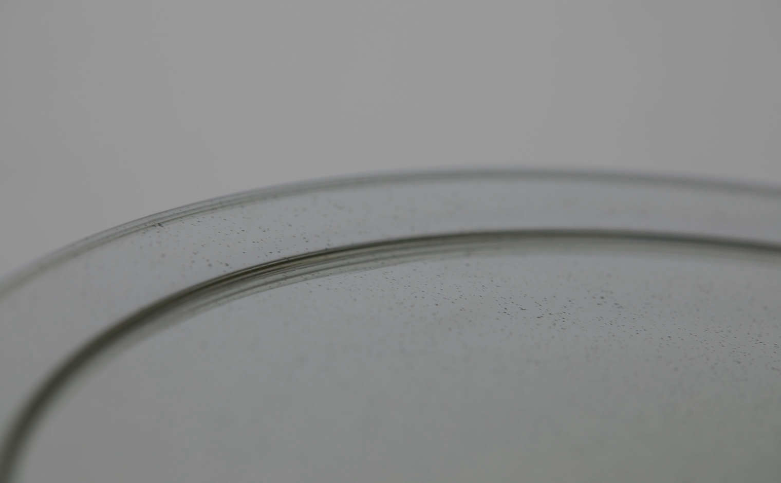 Small Rim Plate M | kataoka jewelry and objets d'art