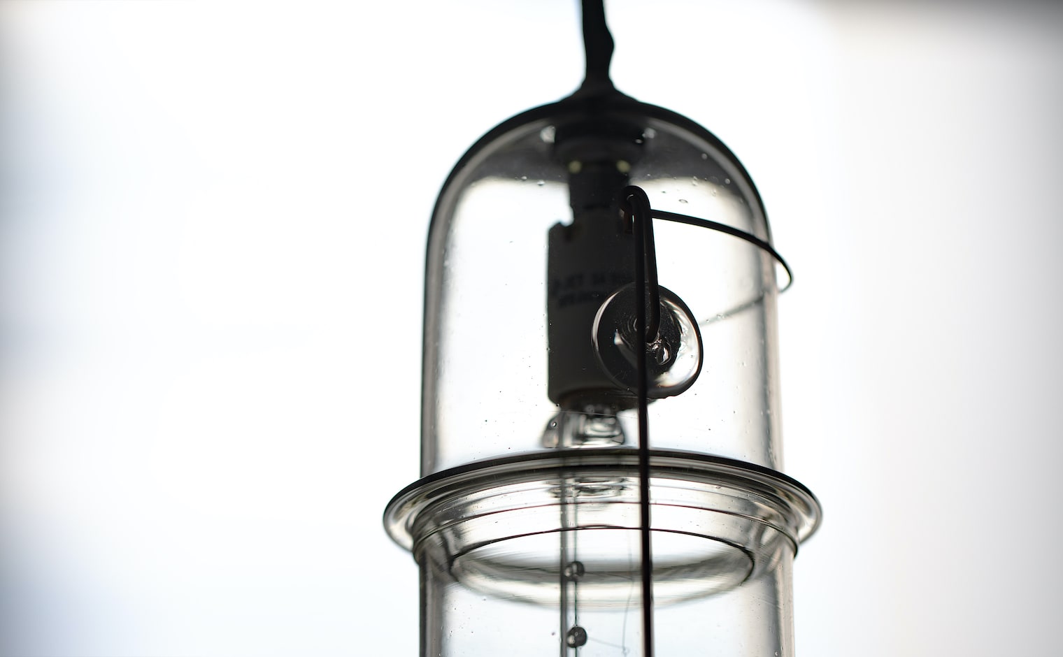 Light Capsule PETER IVY Peter – FLOW LAB ivy L S Ivy Lサイズ