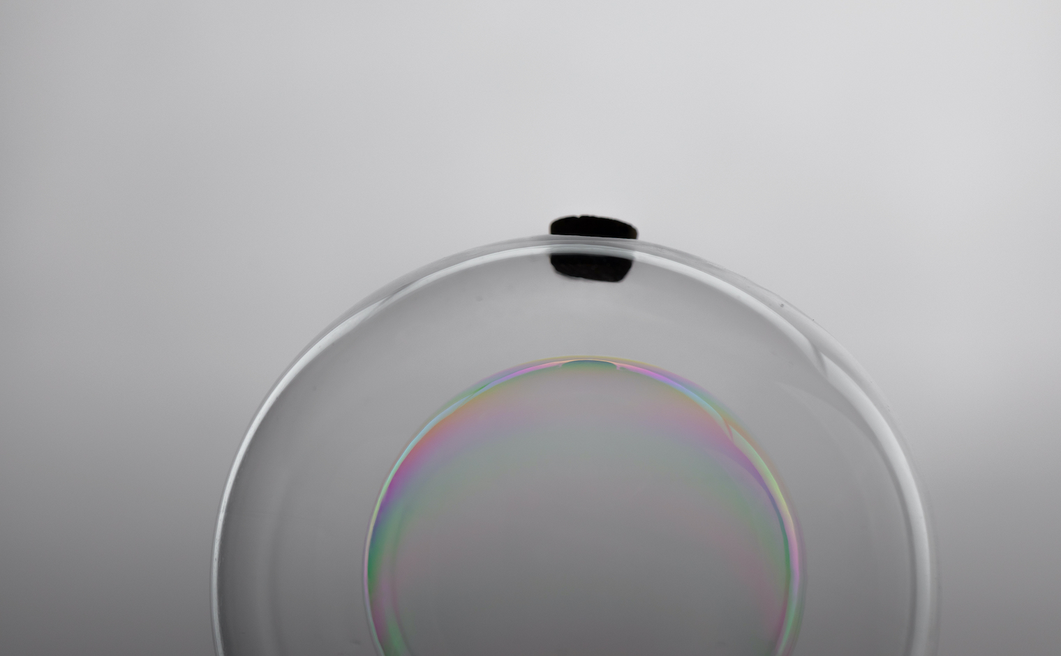 Soap Bubble Holder | kataoka jewelry and objets d'art